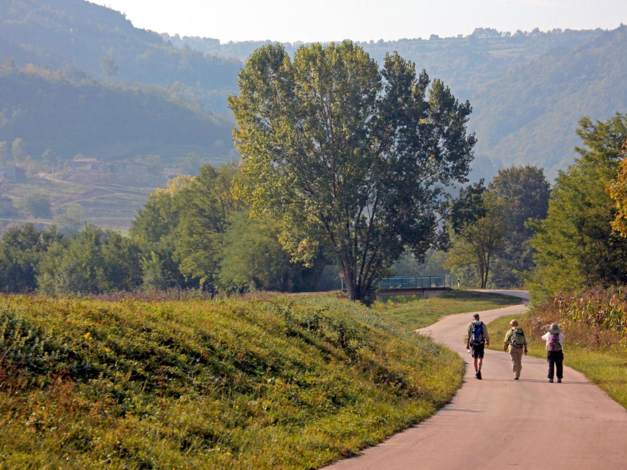 Holiday Home Poje - Mvn251 By Interhome Motovun Buitenkant foto